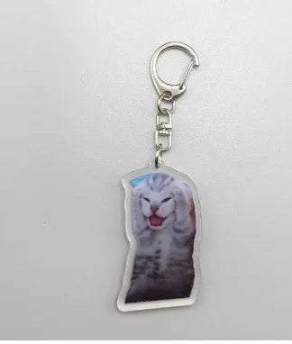 Cute Memes Adorable Funny Cat Keychain Handmade Bag Phone Acrylic Pendant Student Girls Gift For Friends Fahion Jewelry